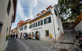 Smile Apartments Zum Goldenen Strauss